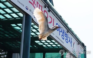 우포늪 고병원성 AI 검출…창녕 따오기 복원센터 초긴장