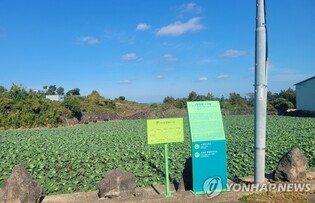 일곱 번째 제주4·3 도보 길 애월 소길리에 개통