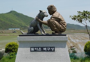 진도군, 천연기념물 노령 진도개 보호료 지원