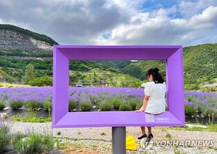 동해시, 지역 대표·미래 상징 관광 캐릭터 개발 나선다