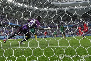 [월드컵] '카메룬 태생 엠볼로 결승골' 스위스, 카메룬 1-0 제압(종합)