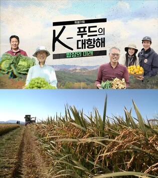 FTA가 가져온 밥상 변화는?…SBS 특집 'K-푸드의 대항해'