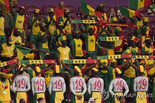 [월드컵] '2002 영웅' 디오프 2주기에 16강 확정…세네갈 팬·선수단 추모