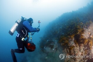 제주 문섬·범섬 레저활동 가능해질 듯