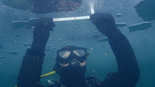 화천산천어축제 개막 한 달 앞으로…안전관리 대폭 강화