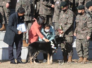 '3년전 실종 여중생 발견' 군견 달관이, 10년 군생활 끝 전역