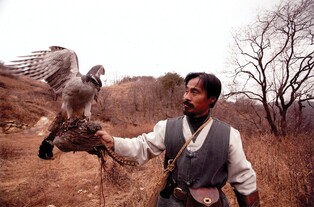 전통 매사냥 모습 10일 대청호 인근서 일반에 공개