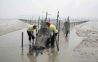 물때·해조류 채취·심마니…삶의 지혜 다룬 전통지식 보고서