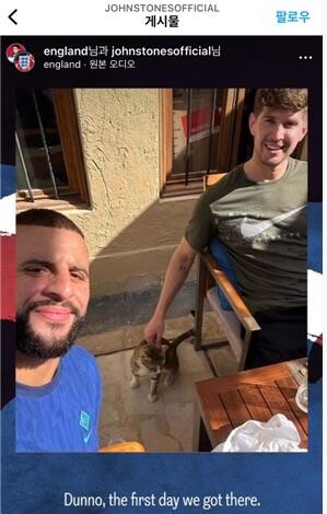 [월드컵] 잉글랜드팀, 우승컵 대신 카타르 길고양이 품었다