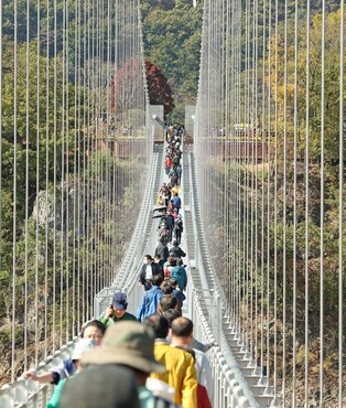 임실 '옥정호 출렁다리' 3개월간 임시 운영 중단