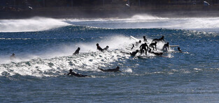 [K-Geography] Surfin' ROK