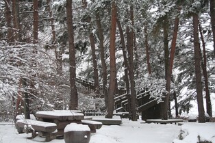 한국수목원정원관리원 산하 수목원 올해 방문객 100만명 돌파