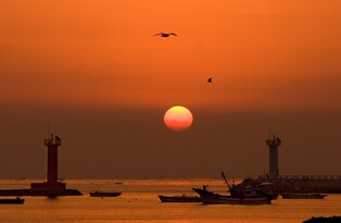 서천 마량진항 '해넘이·해돋이 행사' 3년 만에 개최
