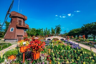 순천만국가정원·우영우·손흥민…올해 '한국관광의 별'