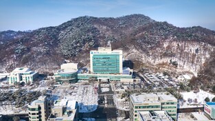 원주시 청년 인구의 절반이 '1인 가구'…주택 소유자는 12.3%