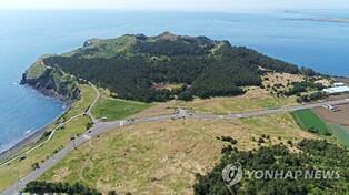 보존 추진 제주 송악산에 '스카이워크' 설치안 제시돼 논란(종합)