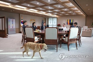 Yoon brings newly adopted dog to work