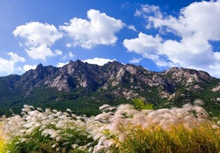 영암군, 월출산에 생태탐방원 조성