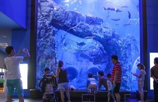 단양 민물고기수족관 1∼2층에 새 전시·체험공간 조성