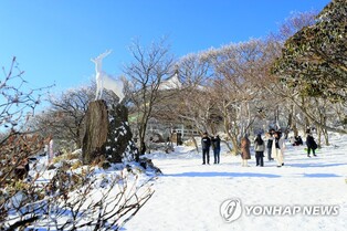 연말·연초 제주관광객 10만8천명…해맞이 명소에 관광객 몰릴듯