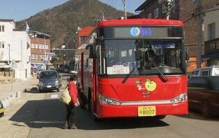 내달부터 경북 청송 농어촌버스 승차 전면 무료화…관광객까지