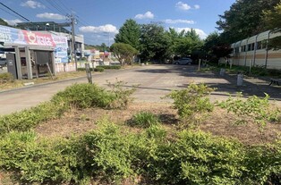 세종 내판역 광장, 도심정원 변모…산림청 생활밀착 숲사업 선정