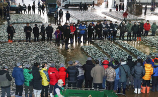 [K-Geography] New Year's first fish auction