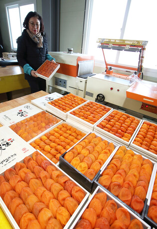 [K-Geography] Dried persimmons