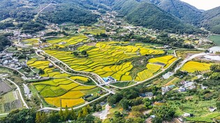 [경남소식] 지역특화사업 발굴 용역 시행…자연경관 등 3개 분야