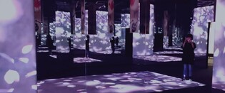 박지리문학상에 단요 작가 '세계는 이렇게 바뀐다'