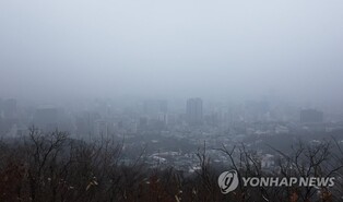 '미세먼지 주말' 전국 관광지 한산…박물관 등 실내시설로 몰려