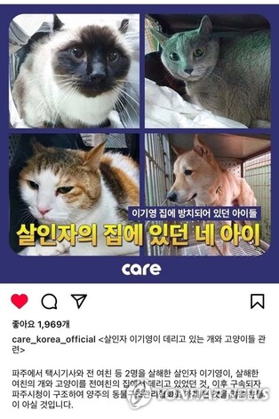 이기영 집 방치됐던 반려동물 4마리 입양 완료…안락사 면했다