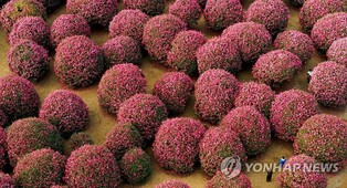 "필요하다면 누구나 보세요" 제주마을관광 데이터 공개