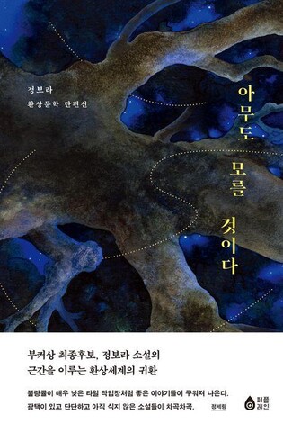 [신간] 아무도 모를 것이다·흐드러지는 봉황의 색채