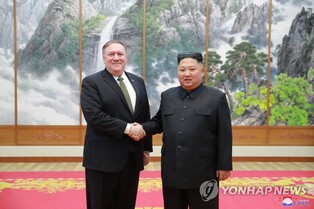 U.S. military presence in S. Korea does not bother N. Korea at all: Pompeo