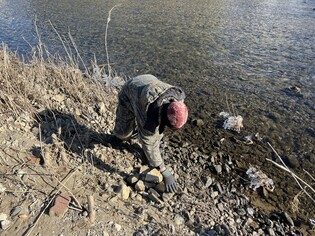 성남 탄천에서 수달 서식 흔적 확인…"서식지 개선대책 시급"