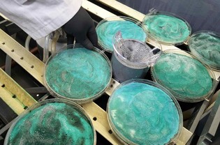 단청에 쓰인 '녹색 분말' 복원 과정과 특징은…연구 보고서 발간