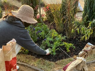 [세종소식] 국립세종수목원, 올해 6만7천명 대상 정원교육