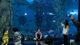 단양다누리센터 작년 입장객 30만5천명…경제효과 51억원