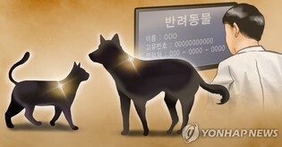 원주시, 실외사육견인 '마당개' 중성화수술 올해부터 지원