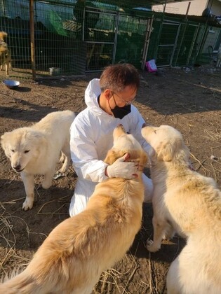 유기·유실동물 입양하면 장려금…경남도, 동물복지 확대한다