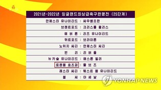 영국 EPL "북한 프리미어리그 중계권 없어…조사할 것"