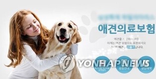 보험연구원 "펫보험 가입률 0.8%…상품 개발 미흡"