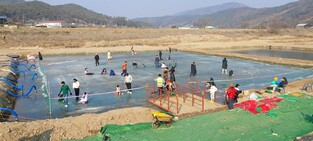 대전충남녹색연합 "반생태적 축제에 하천점용 허가 공주시 규탄"