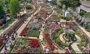 전남도, 대표 축제 10개 선정…2천만원씩 지원