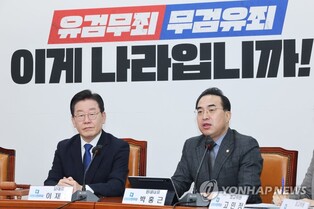 DP accuses prosecution of seeking arrest warrant against party leader to overshadow first lady allegations