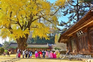 전주 한옥마을 작년 관광객 '1천129만명'…역대 최대