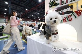 강원도, 반려동물 사료 생산기반 구축사업 시범 지원
