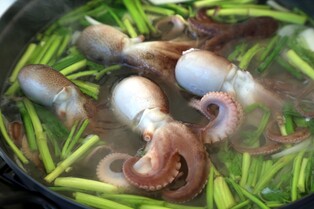 '제21회 서천 동백꽃 주꾸미 축제' 내달 18∼4월 2일 개최