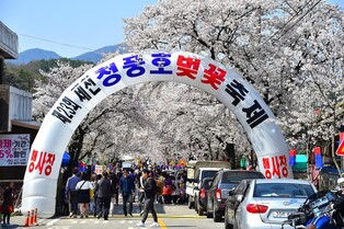 "야시장 대신 주민장터 운영" 청풍호벚꽃축제 중재 나선 제천시